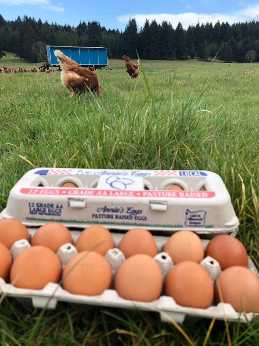 Lady B Farms Eggs